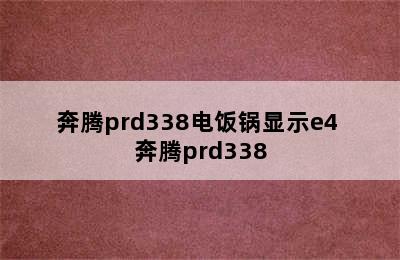 奔腾prd338电饭锅显示e4 奔腾prd338